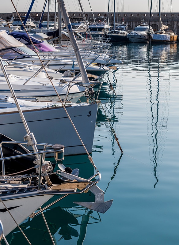 inmatriculari ambarcatiuni